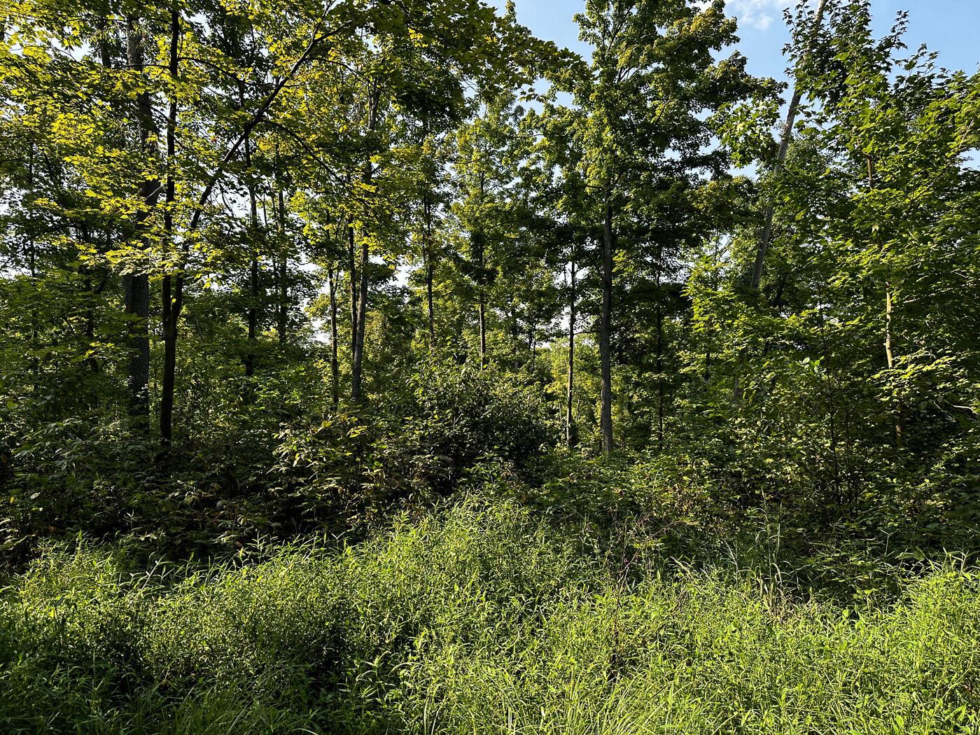 9614 Township Rd 57, (tract 2 At Sheridan Woods) Property Photo 28