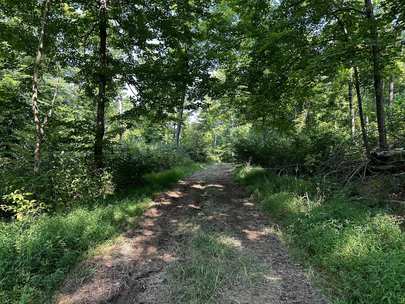 9614 Township Rd 57, (tract 2 At Sheridan Woods) Property Photo 29