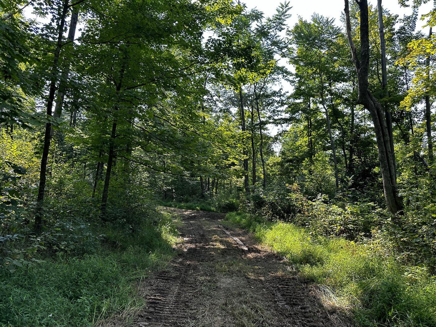 9614 Township Rd 57, (tract 2 At Sheridan Woods) Property Photo 30