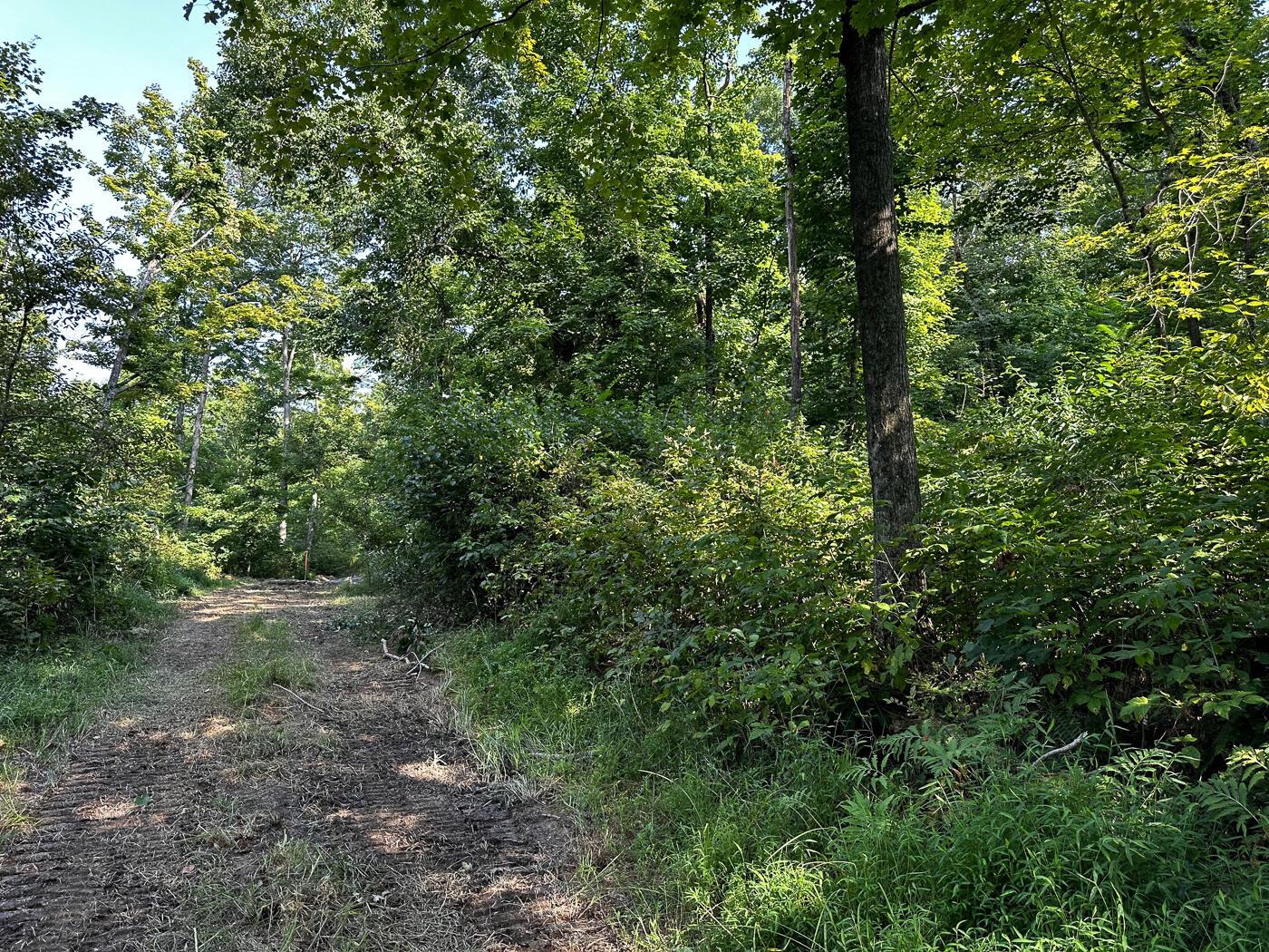 9614 Township Rd 57, (tract 2 At Sheridan Woods) Property Photo 31