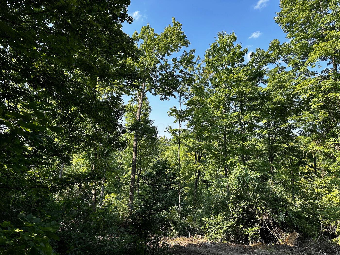 9614 Township Rd 57, (tract 2 At Sheridan Woods) Property Photo 32