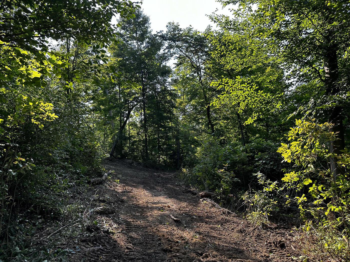 9614 Township Rd 57, (tract 2 At Sheridan Woods) Property Photo 33