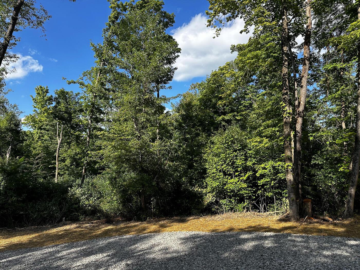 9614 Township Rd 57, (tract 2 At Sheridan Woods) Property Photo 37