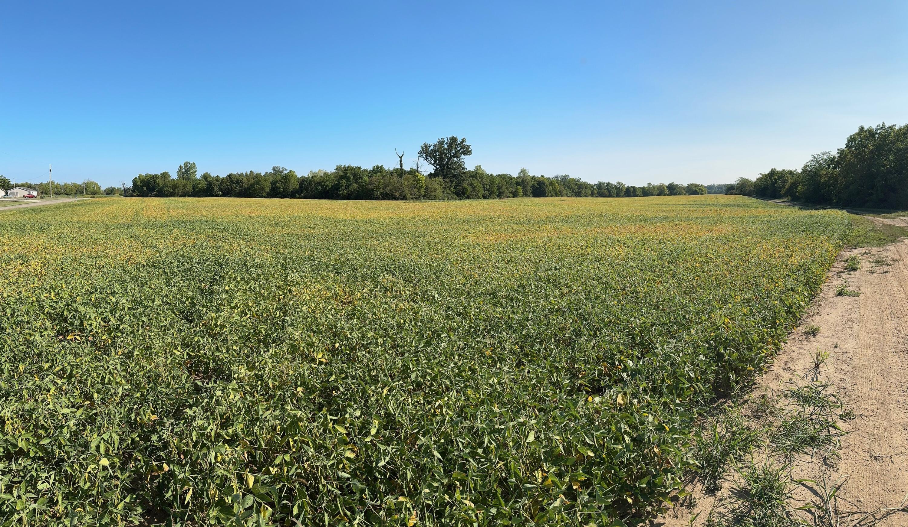 26400 Thompson Road Property Photo
