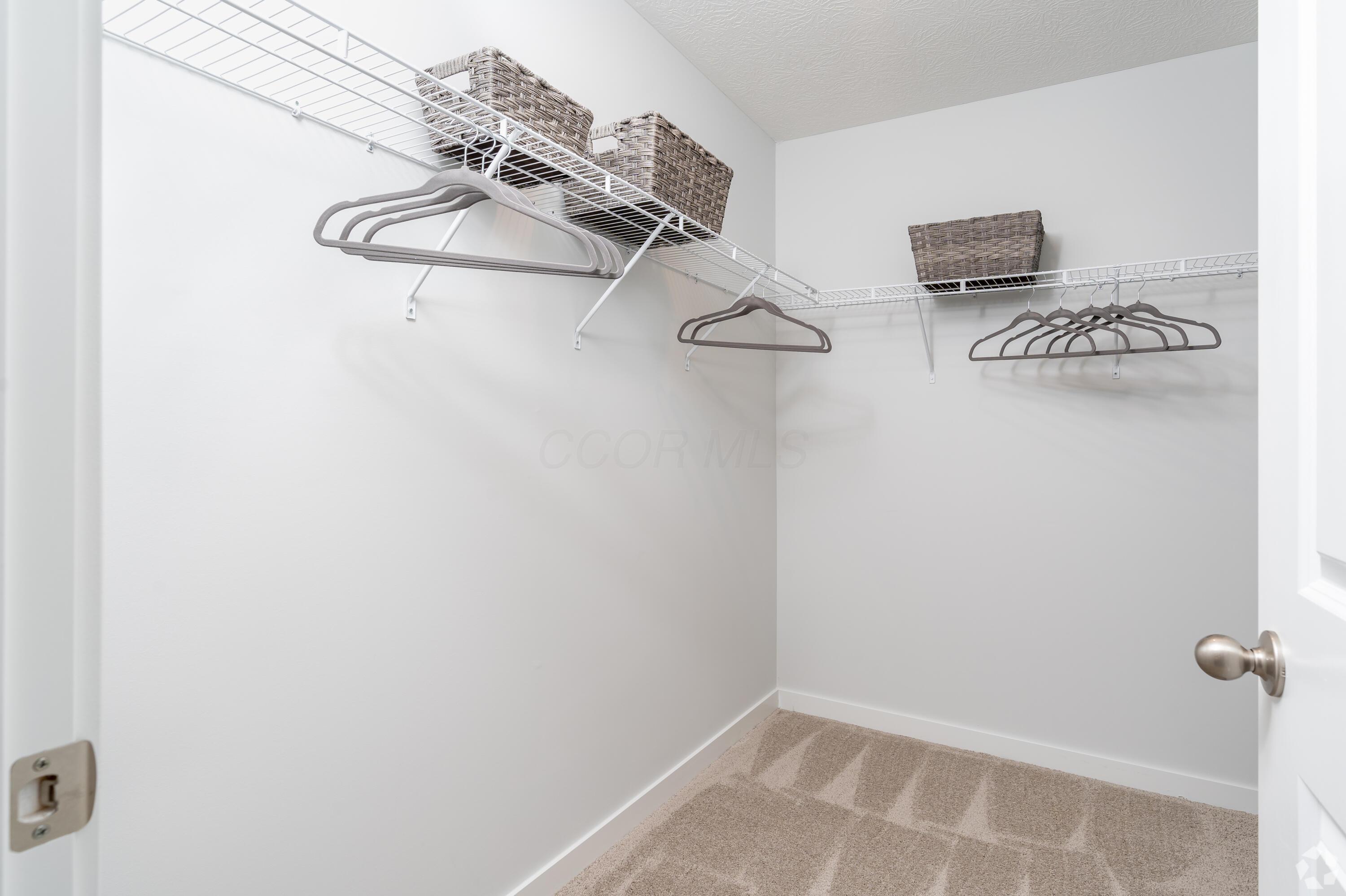 961 Capriconus Drive Property Photo 12