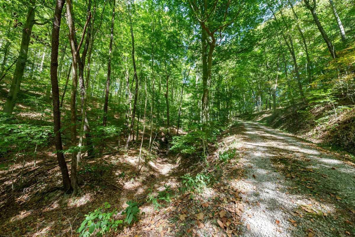 5778 State Route 664 N, Lot 4 Property Photo 17