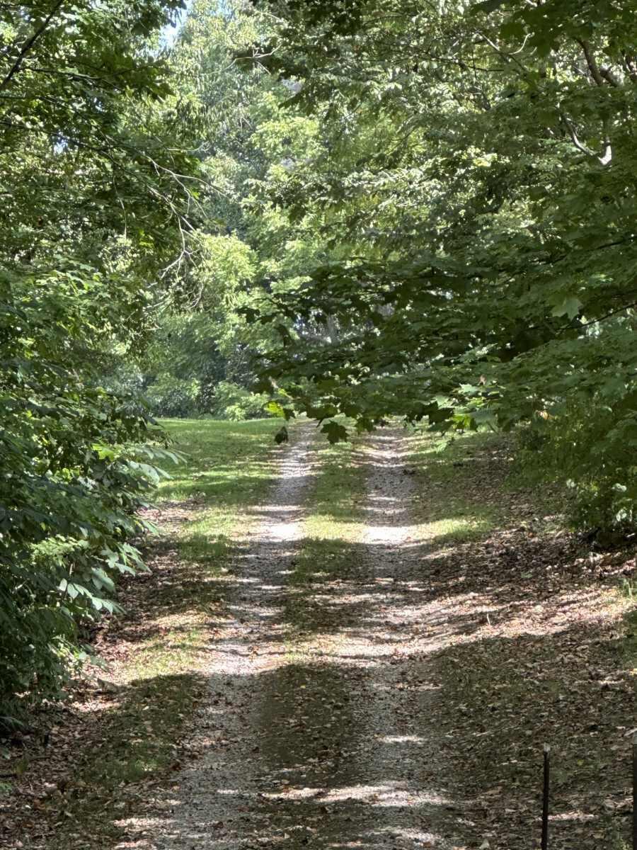 5778 State Route 664 N, Lot 4 Property Photo 18