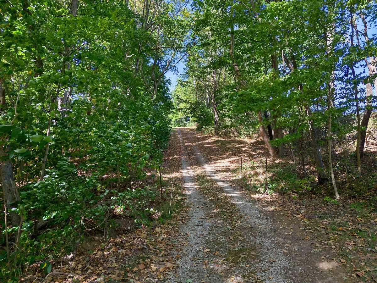 5778 State Route 664 N, Lot 4 Property Photo 20