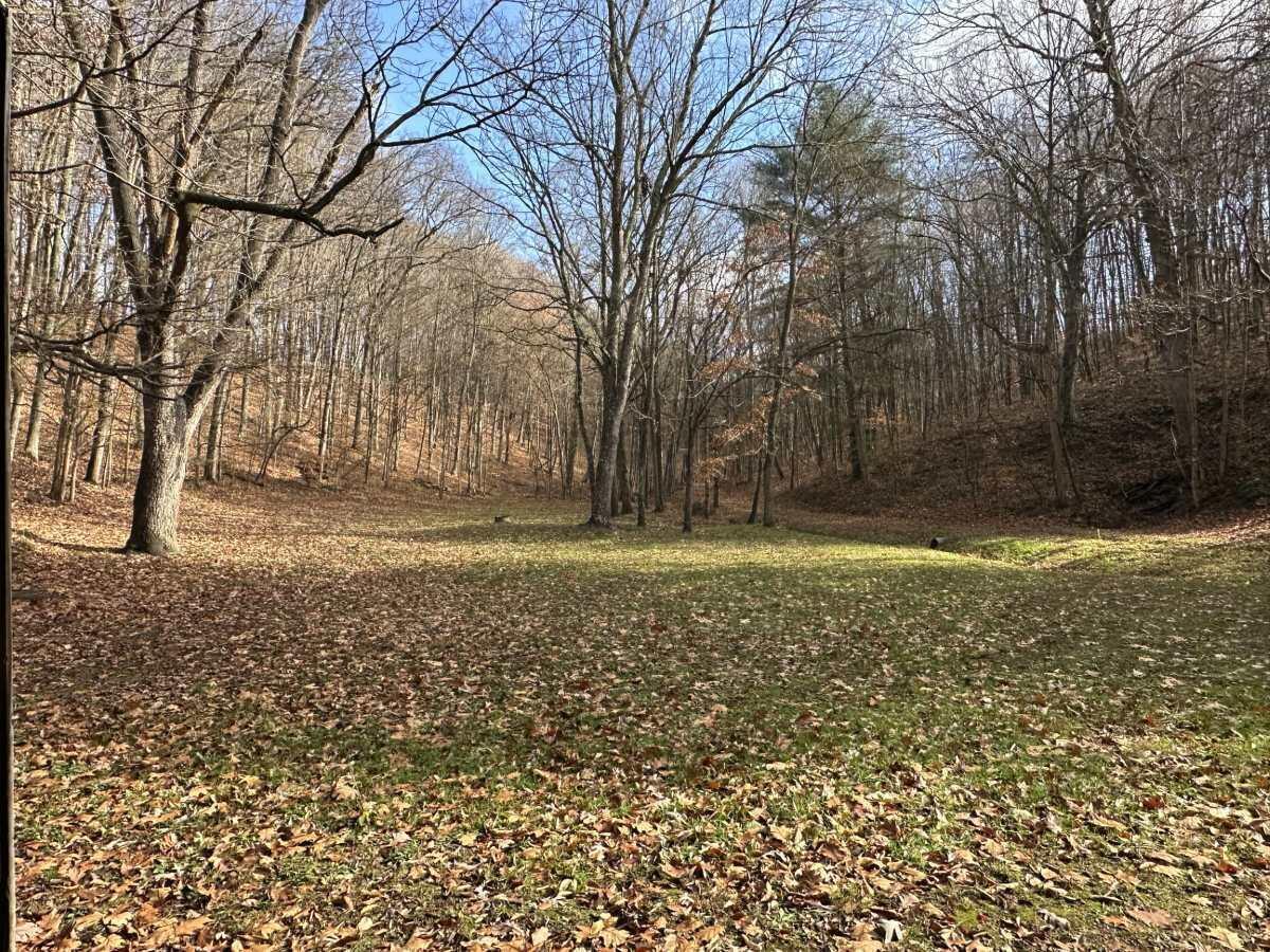 5618 State Route 664 N, Lot 3 Property Photo 6