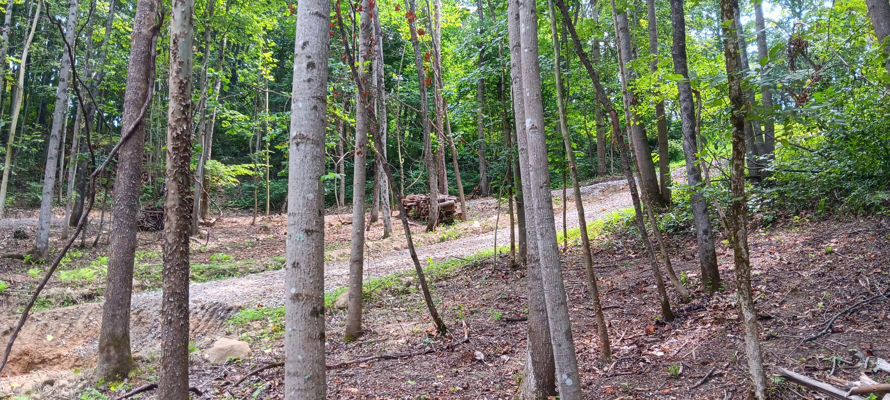 0 Orpheus Keystone Road, (tract 5 Caves At Keystone) Property Photo 6