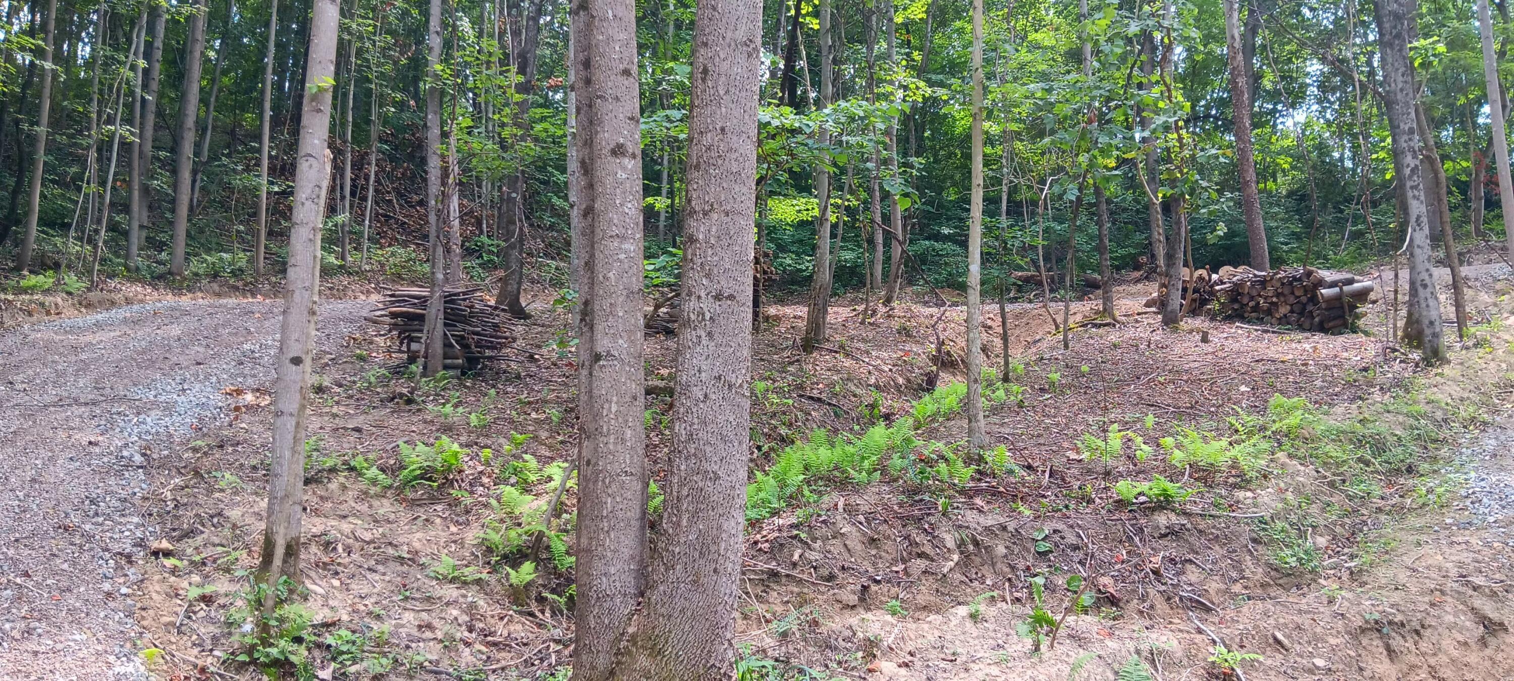 0 Orpheus Keystone Road, (tract 5 Caves At Keystone) Property Photo 10