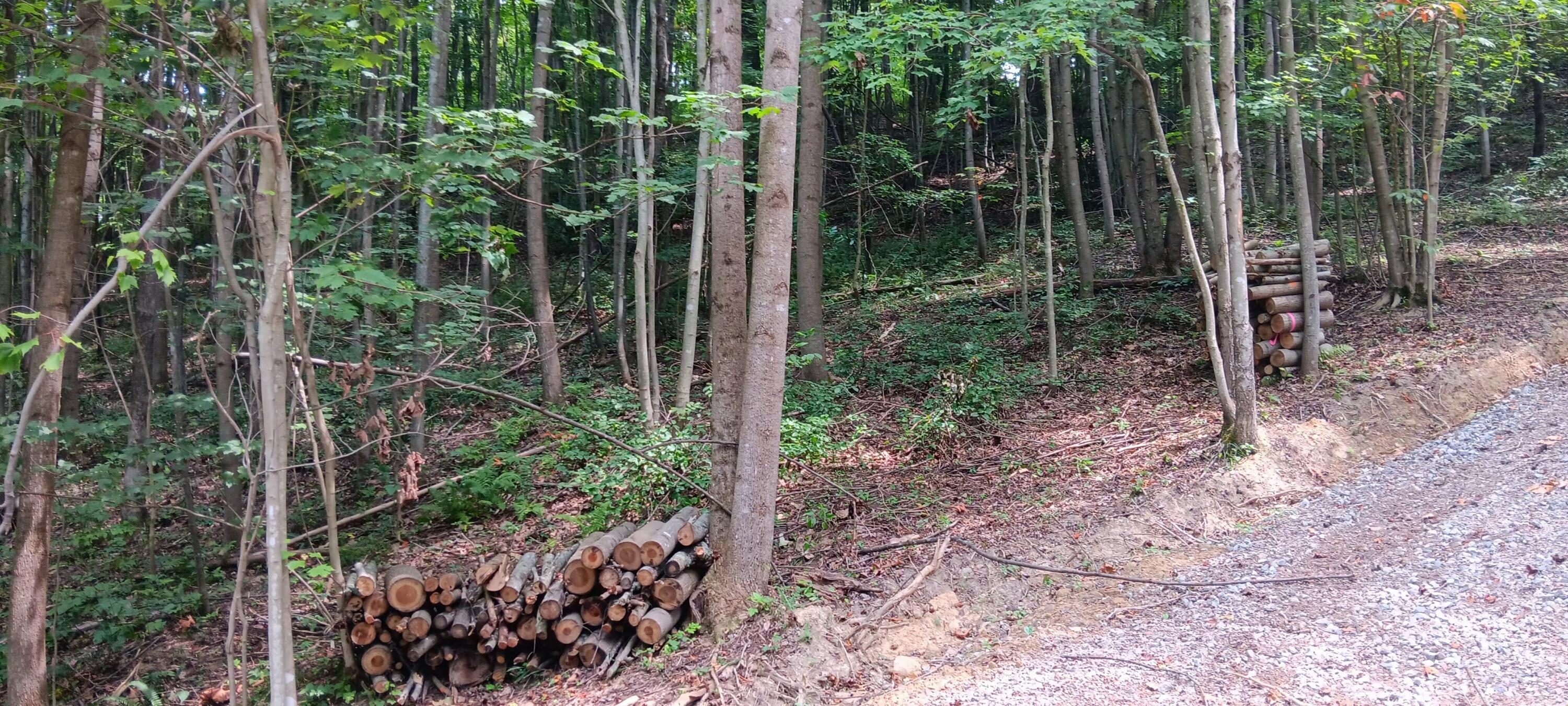 0 Orpheus Keystone Road, (tract 5 Caves At Keystone) Property Photo 11