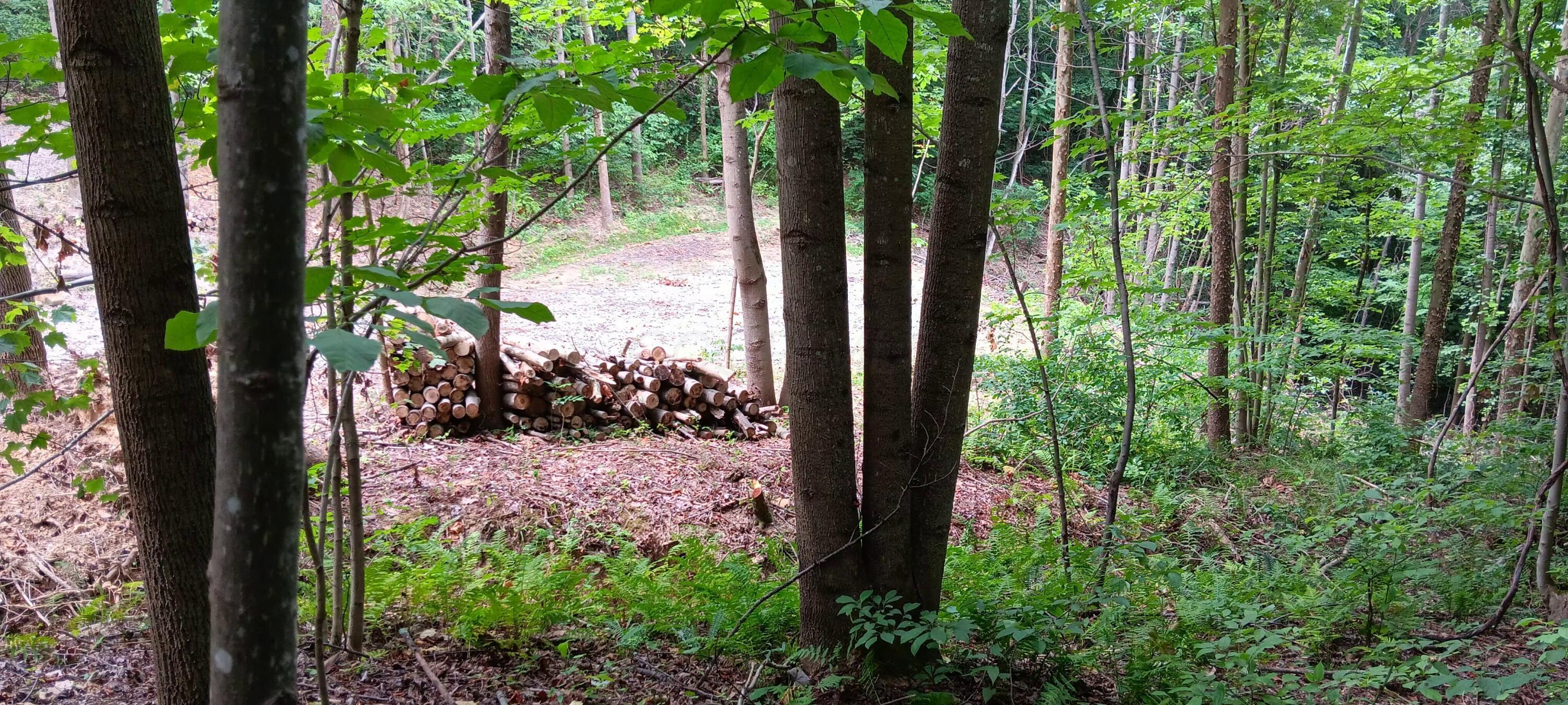 0 Orpheus Keystone Road, (tract 5 Caves At Keystone) Property Photo 16