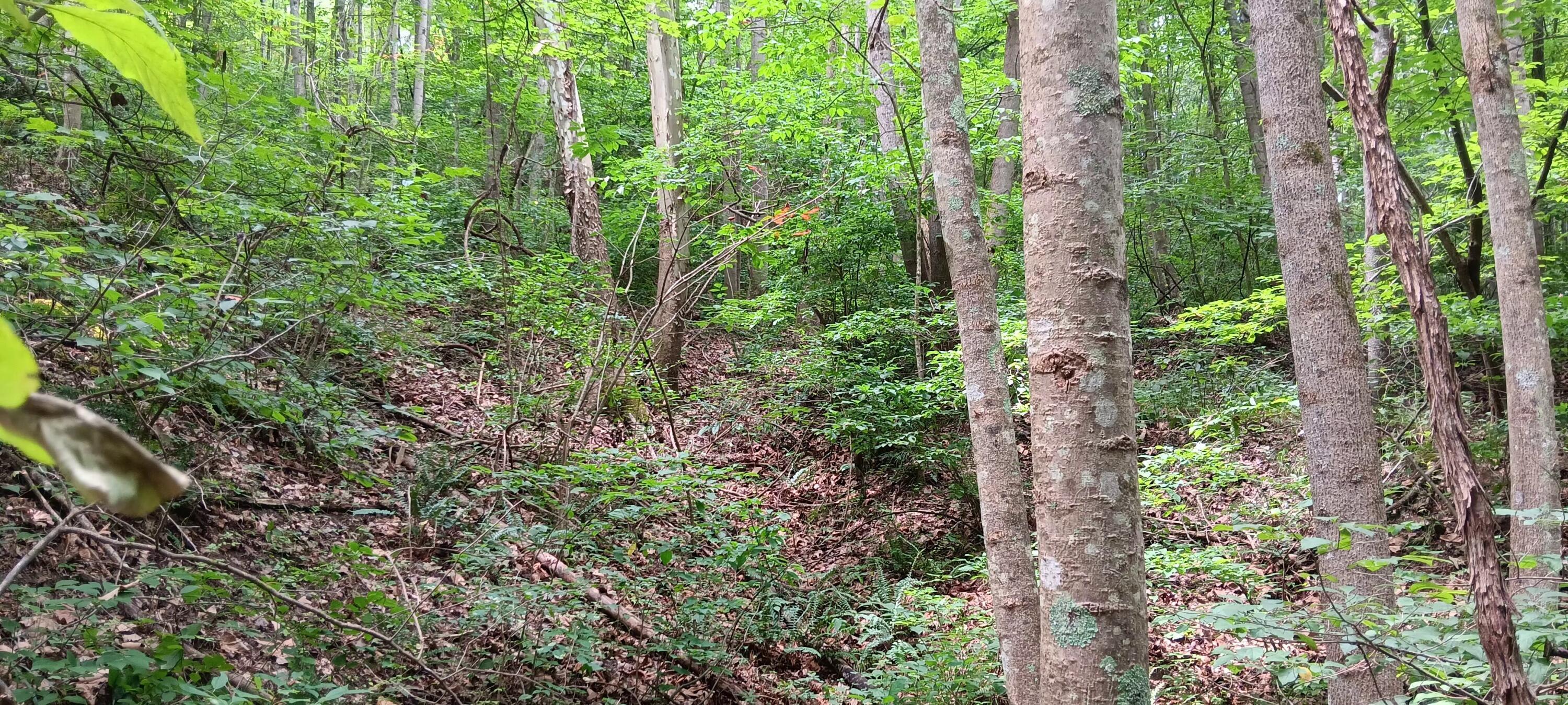0 Orpheus Keystone Road, (tract 5 Caves At Keystone) Property Photo 24