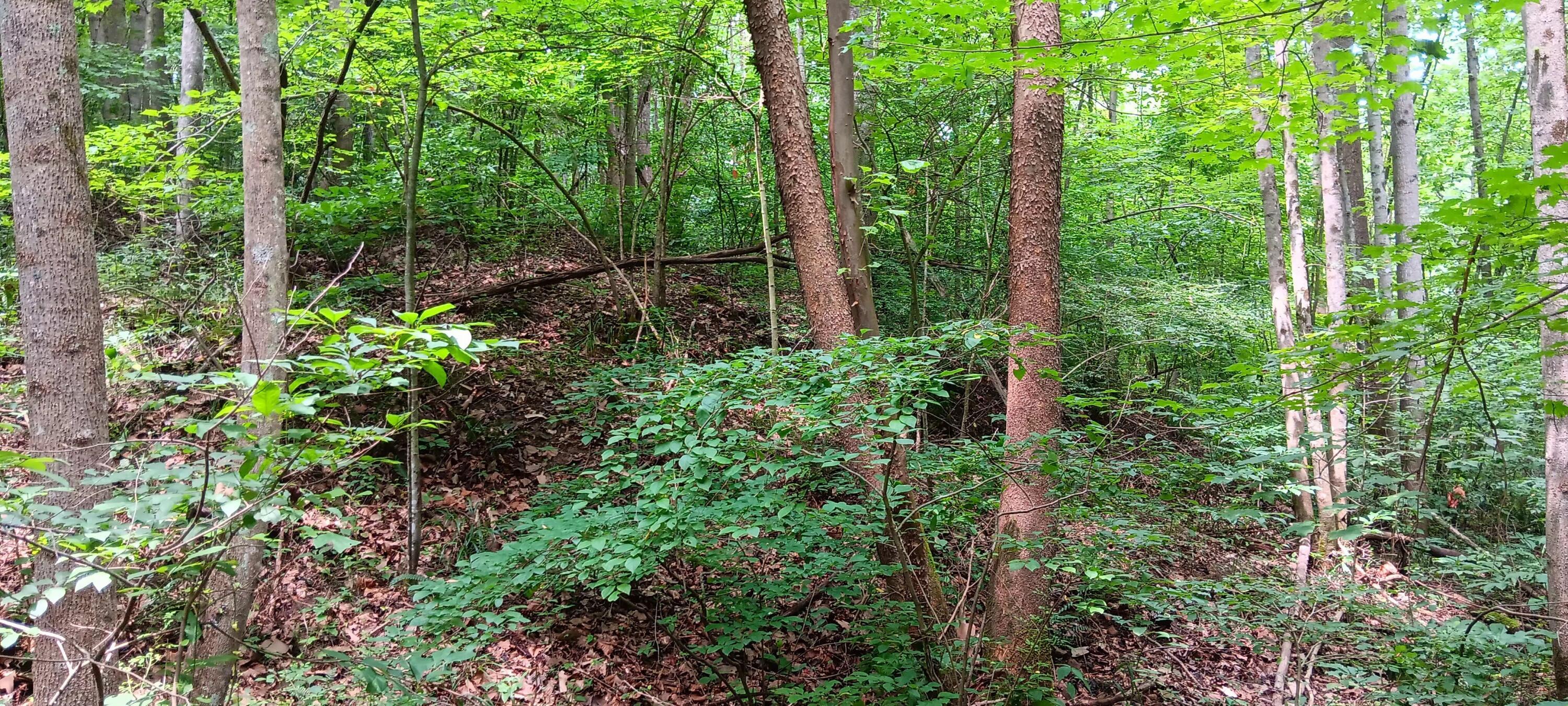 0 Orpheus Keystone Road, (tract 5 Caves At Keystone) Property Photo 25