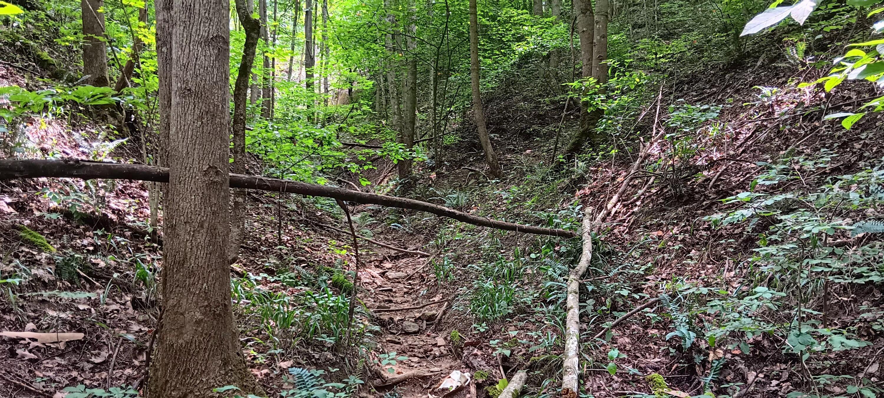 0 Orpheus Keystone Road, (tract 5 Caves At Keystone) Property Photo 26