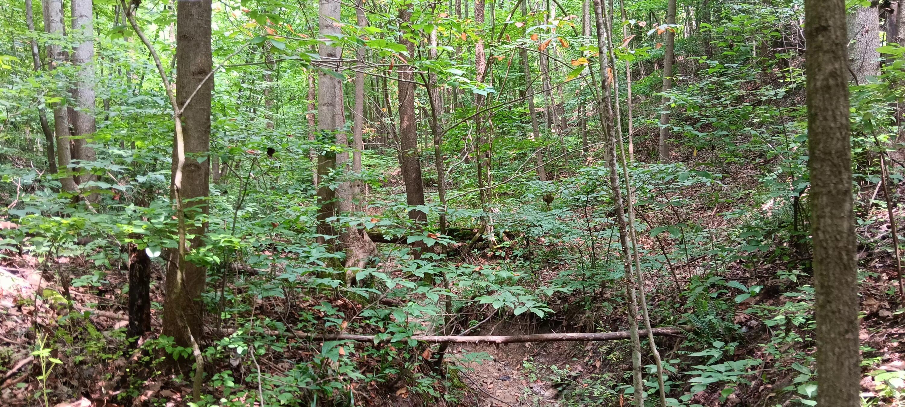 0 Orpheus Keystone Road, (tract 5 Caves At Keystone) Property Photo 27