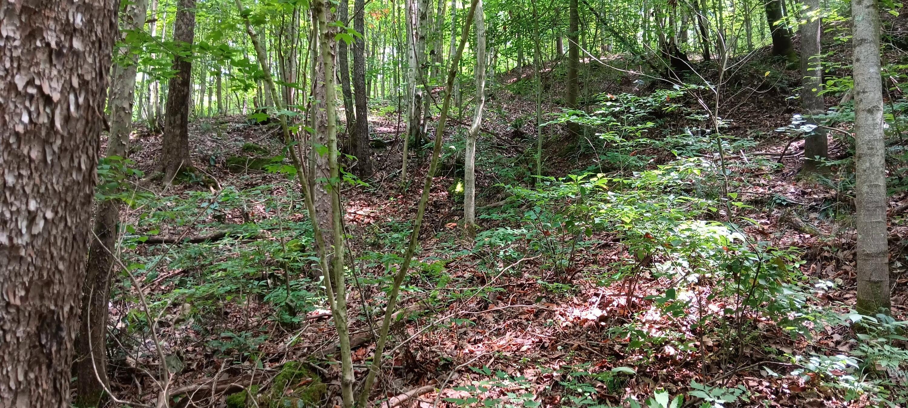 0 Orpheus Keystone Road, (tract 5 Caves At Keystone) Property Photo 28