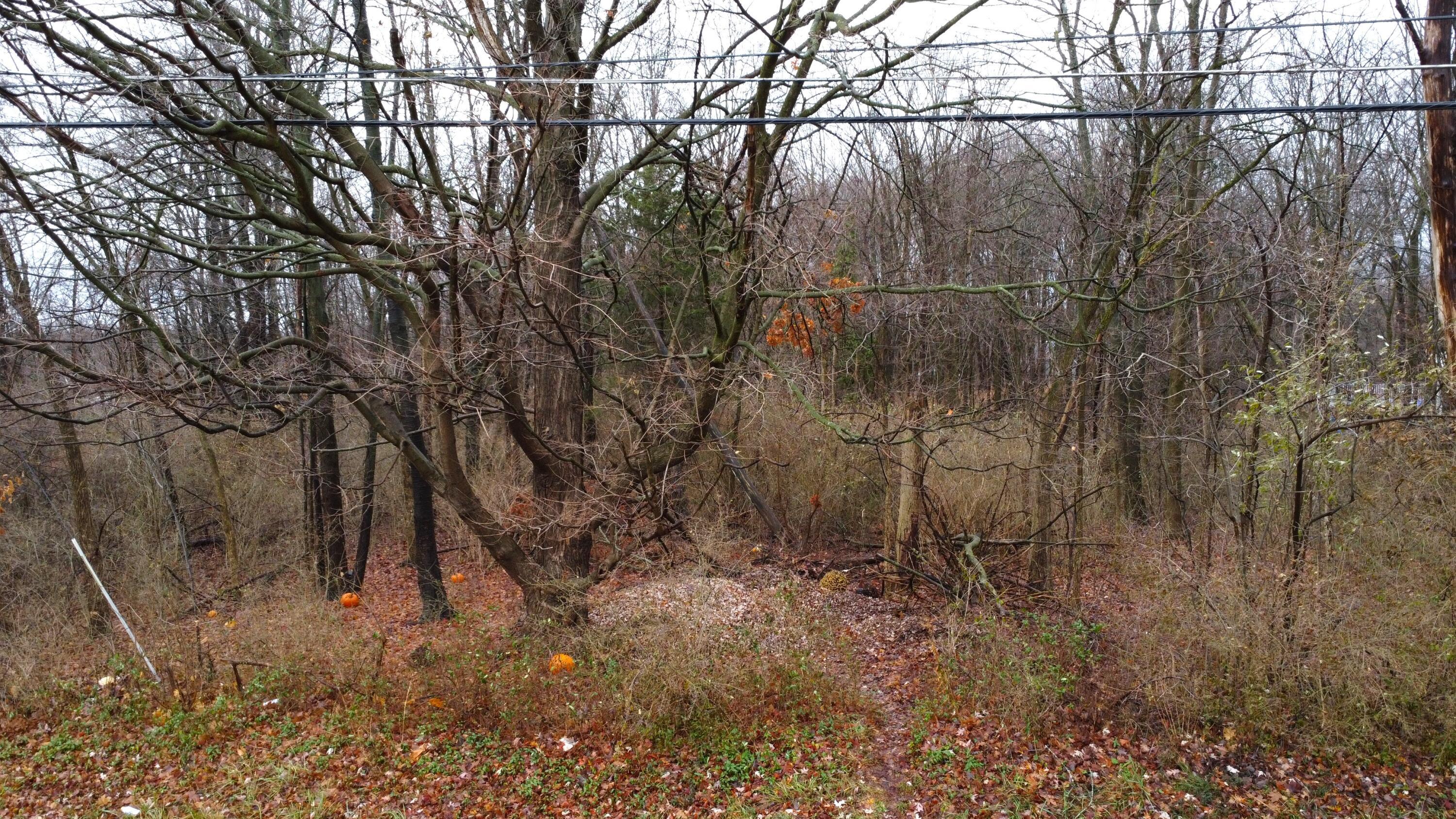 0 Laver Road Property Photo 3