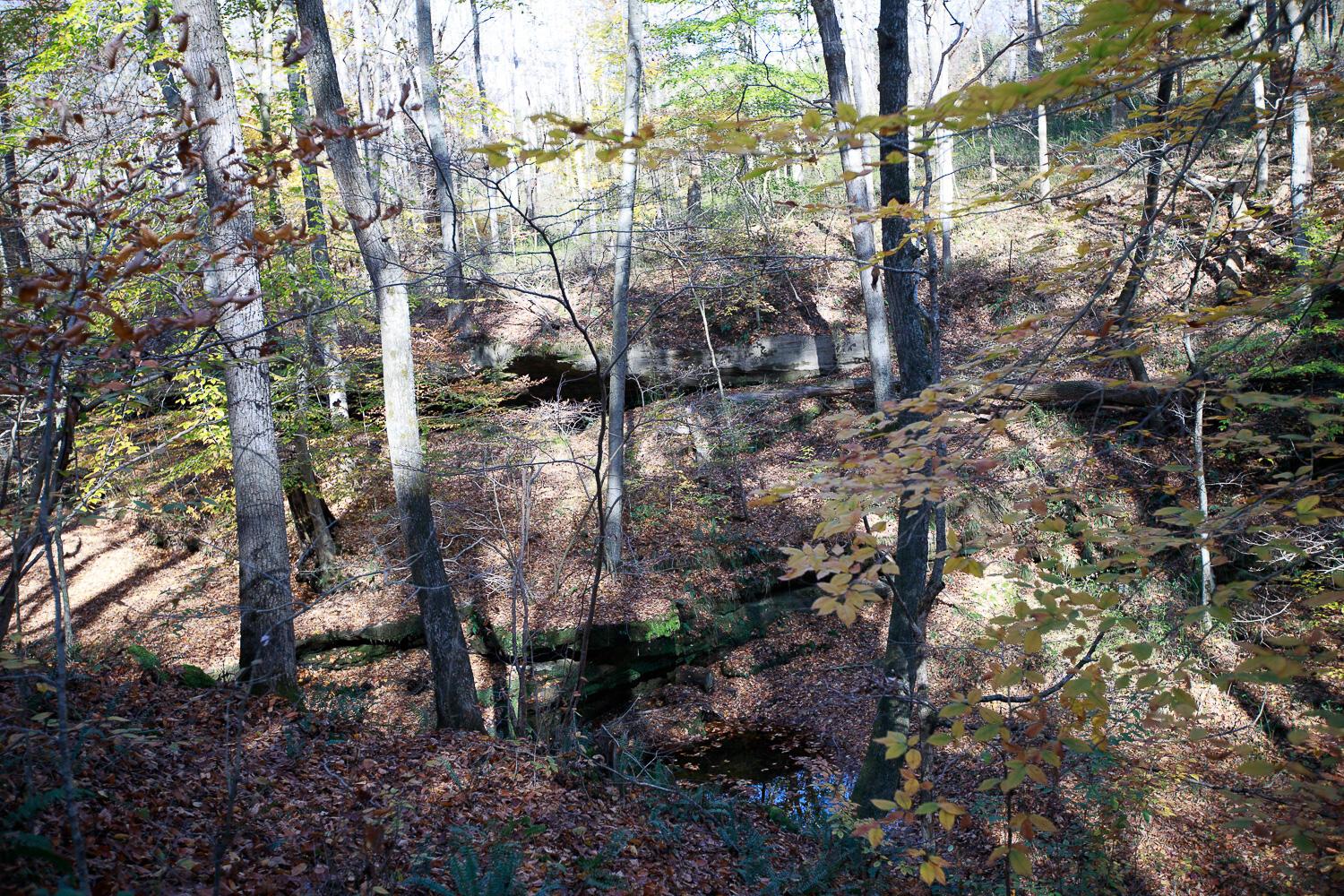 28132 Dupler Road Property Photo 69