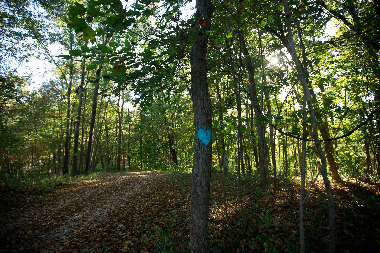 28132 Dupler Road Property Photo 70