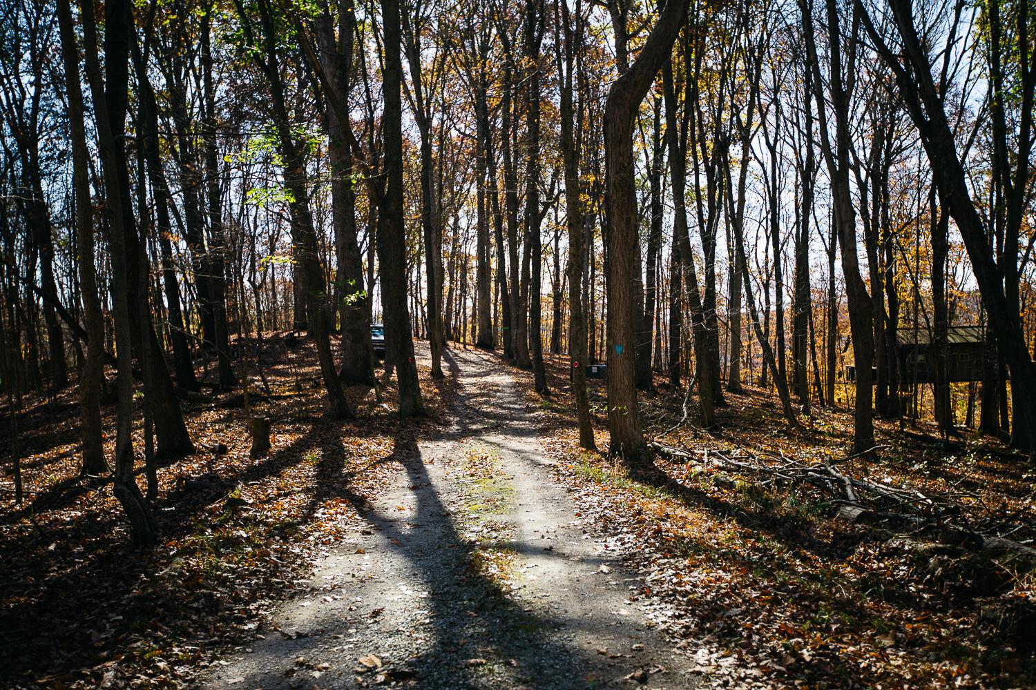 28132 Dupler Road Property Photo 73