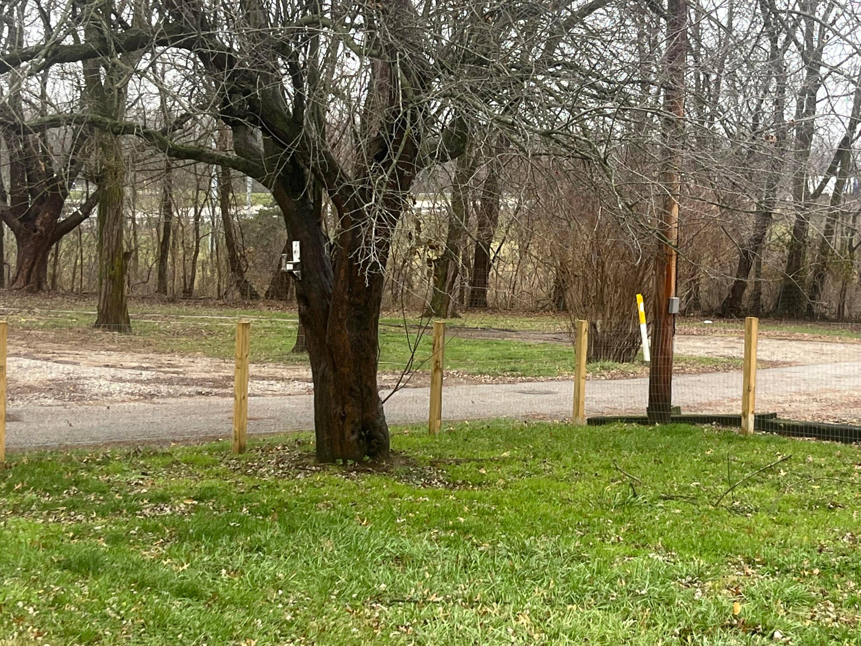 9 Worth Drive Property Photo 27