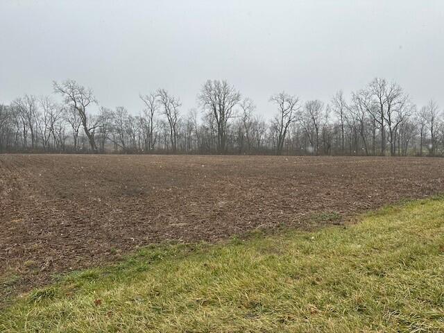 0 Mingo-lewisburg Road Property Photo 2