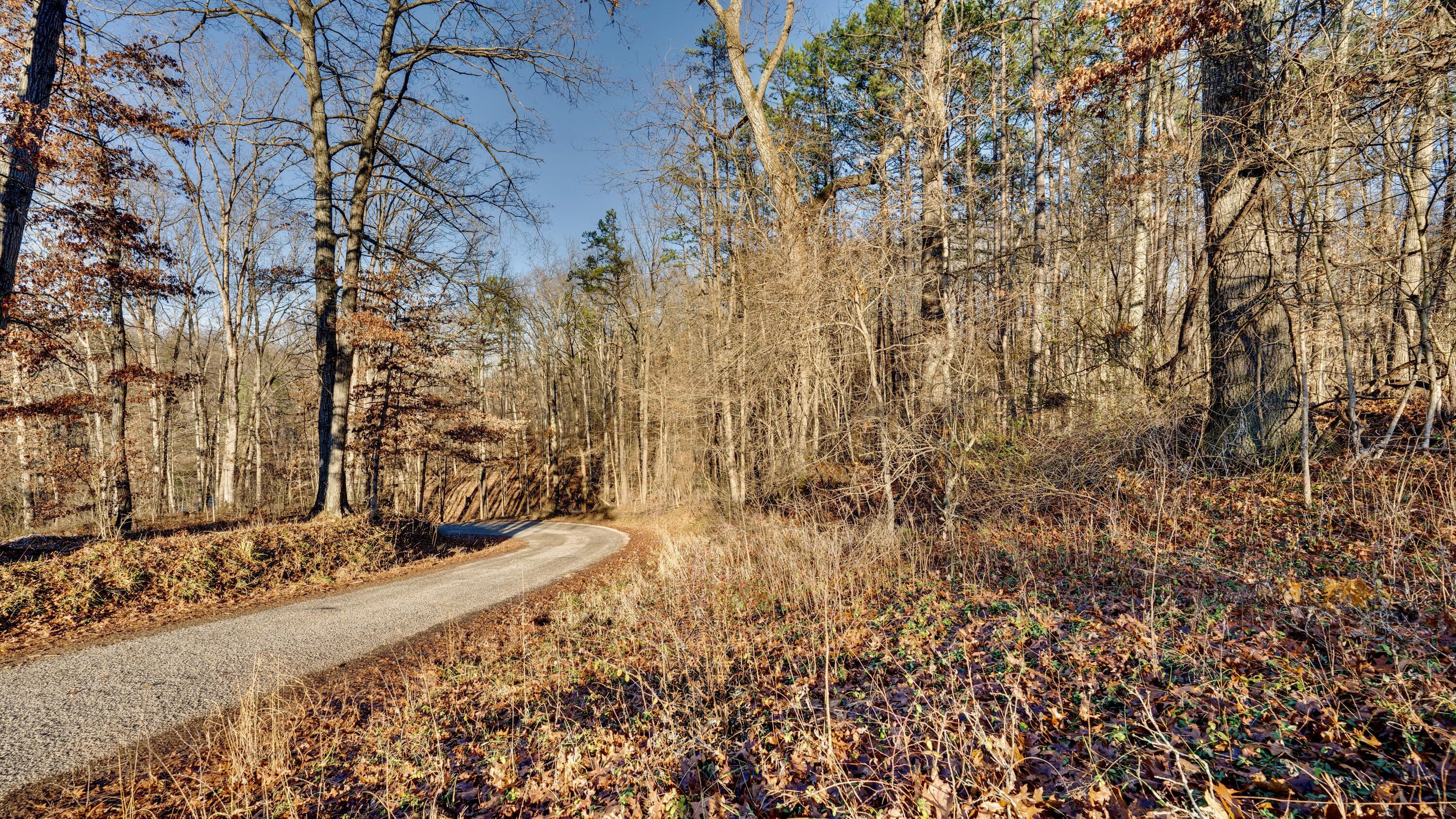 30923 Painter Ridge Road Property Photo 1