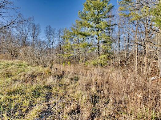 30923 Painter Ridge Road Property Photo 5
