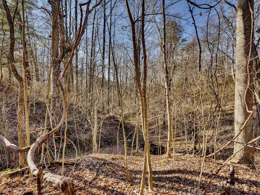 30923 Painter Ridge Road Property Photo 6