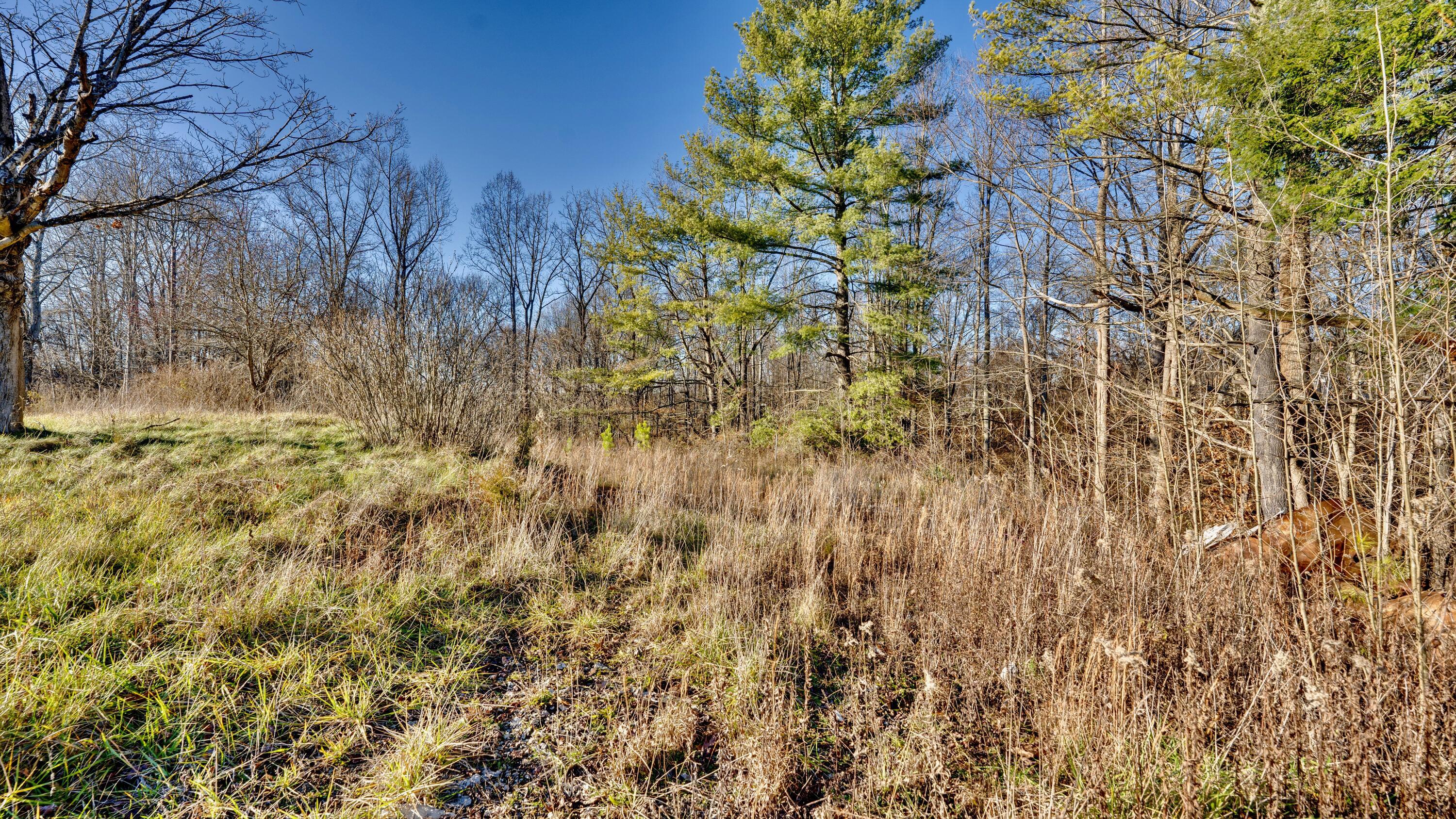 30923 Painter Ridge Road Property Photo 7