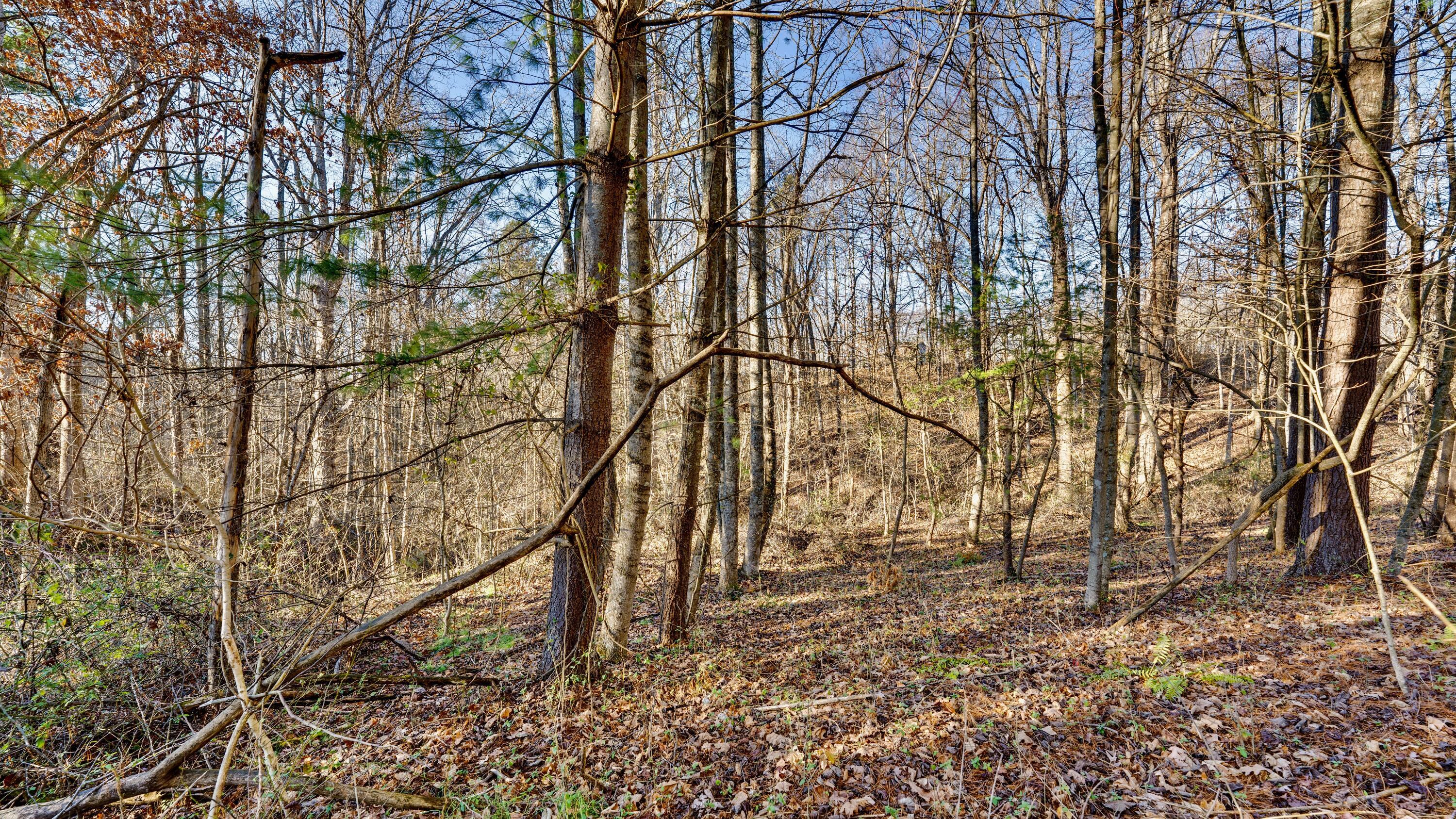 30923 Painter Ridge Road Property Photo 11