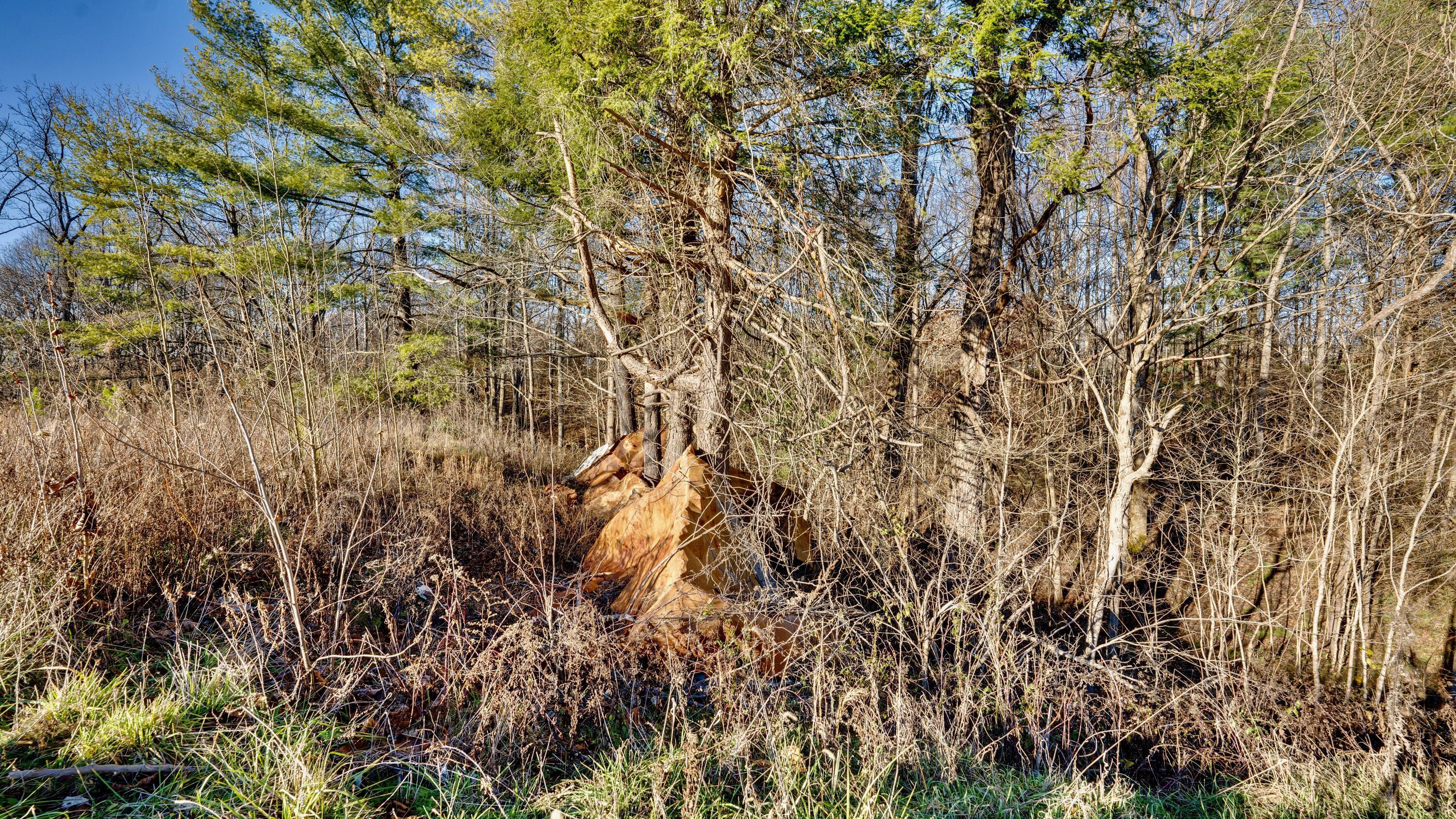 30923 Painter Ridge Road Property Photo 16