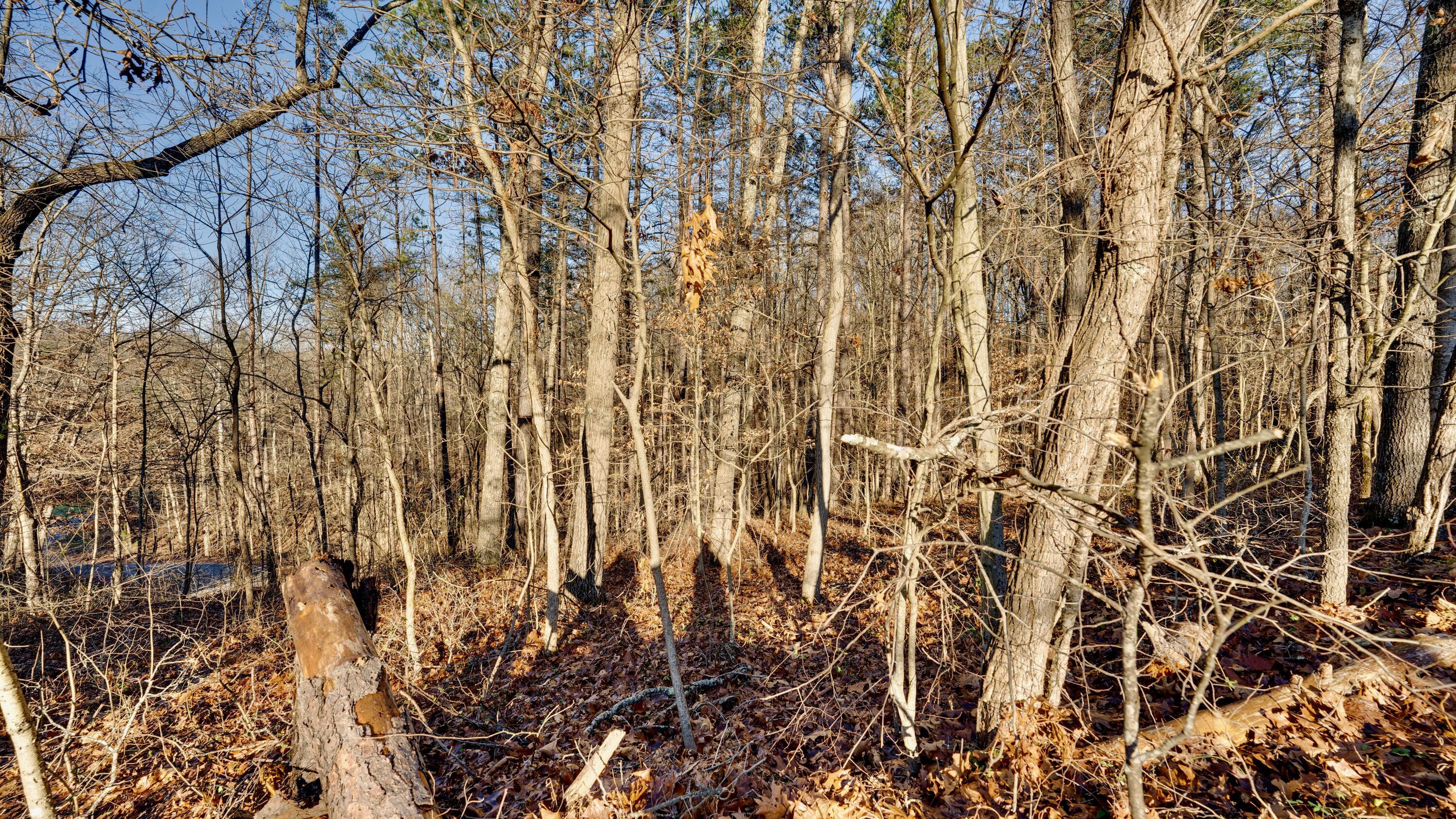 30923 Painter Ridge Road Property Photo 17
