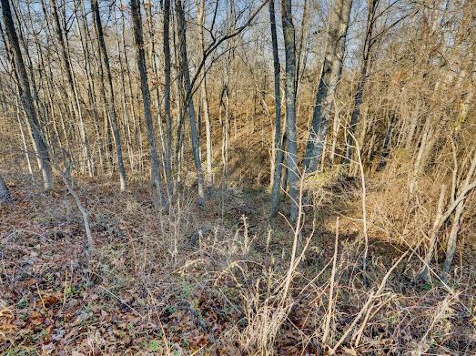 30923 Painter Ridge Road Property Photo 20