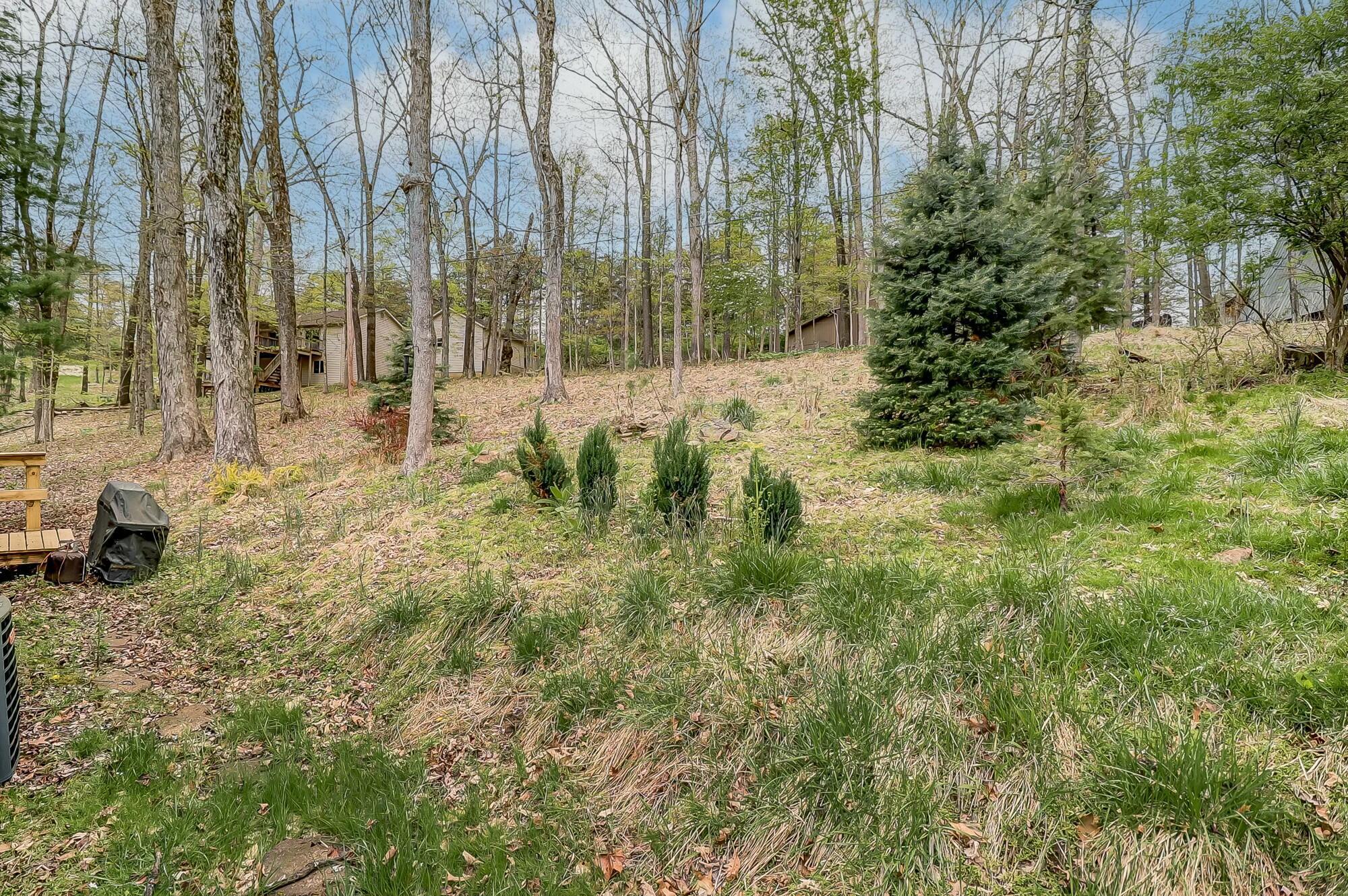 228 Shawnee Lane, L Property Photo 33