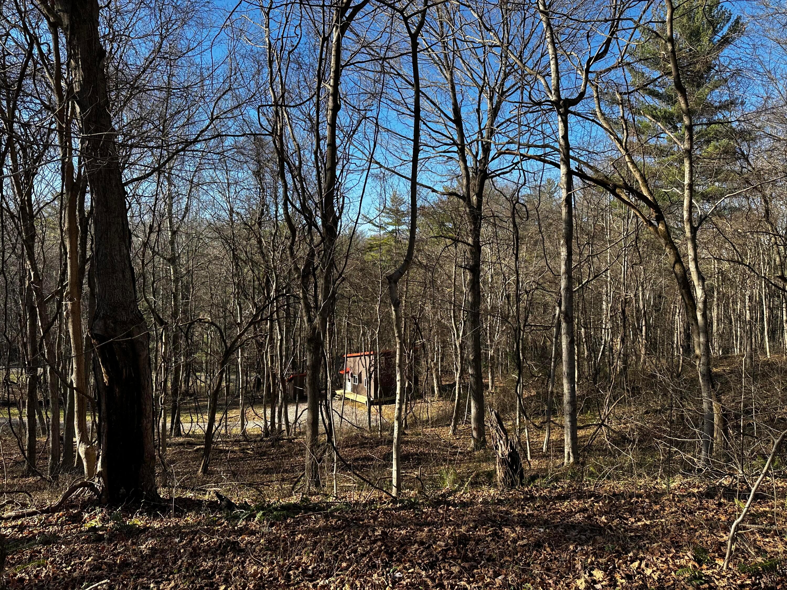 3424 Titus Road, (sycamore Cabin At Titus) Property Photo 31