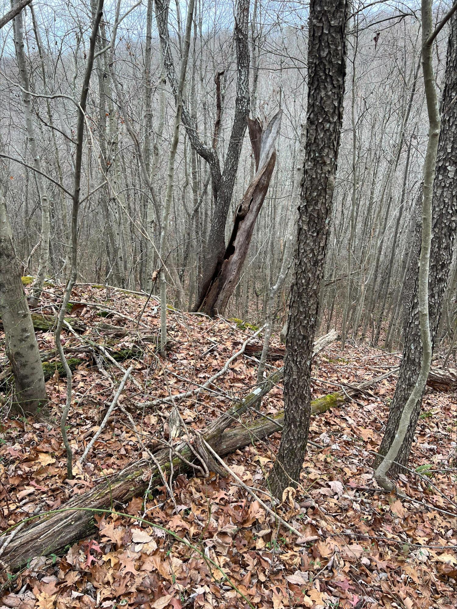 0 Beaver Pike Property Photo 4