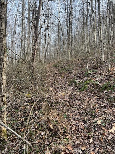 0 Beaver Pike Property Photo 5