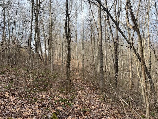 0 Beaver Pike Property Photo 6
