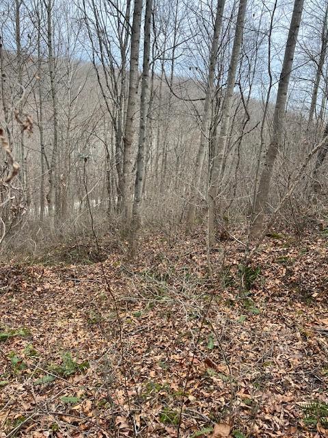 0 Beaver Pike Property Photo 7