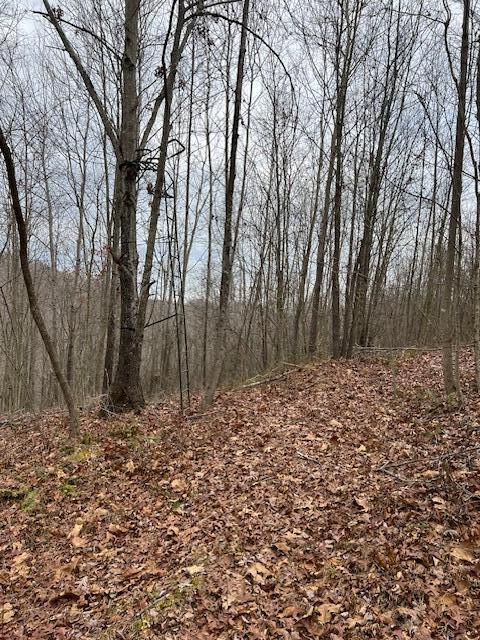 0 Beaver Pike Property Photo 9