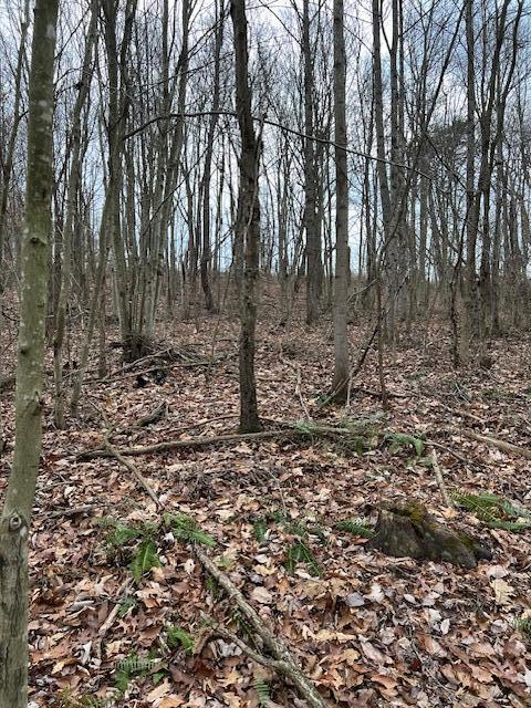 0 Beaver Pike Property Photo 10