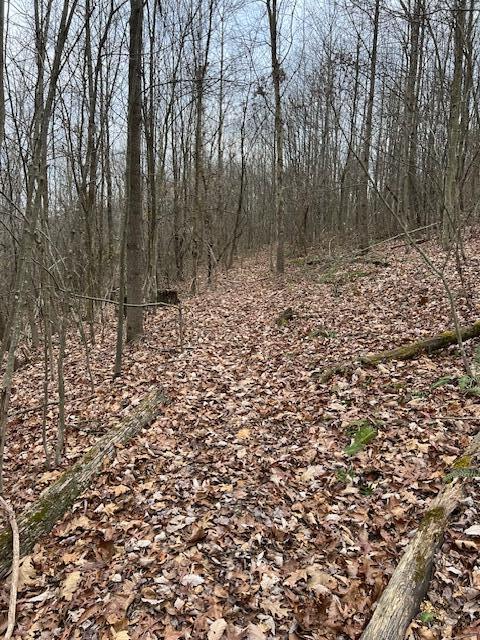 0 Beaver Pike Property Photo 11