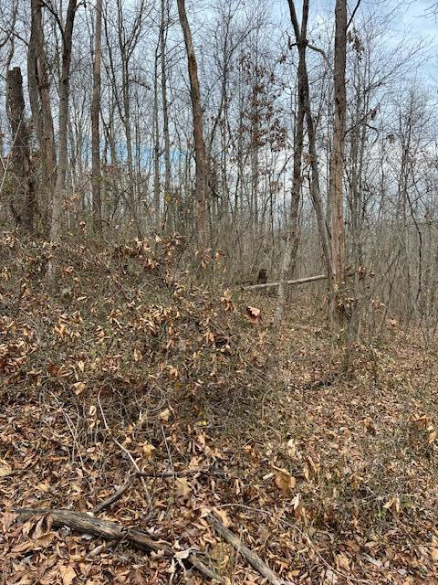 0 Beaver Pike Property Photo 12