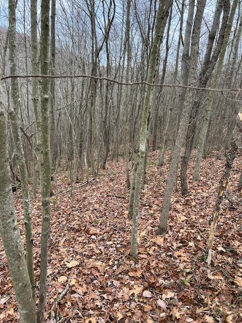 0 Beaver Pike Property Photo 16