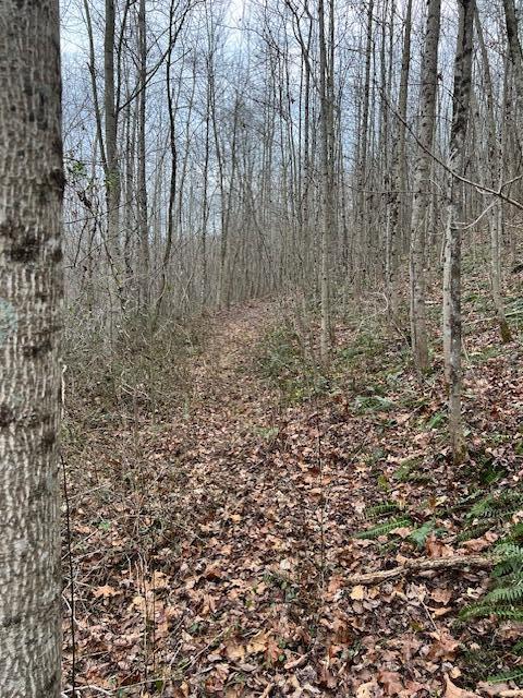 0 Beaver Pike Property Photo 17