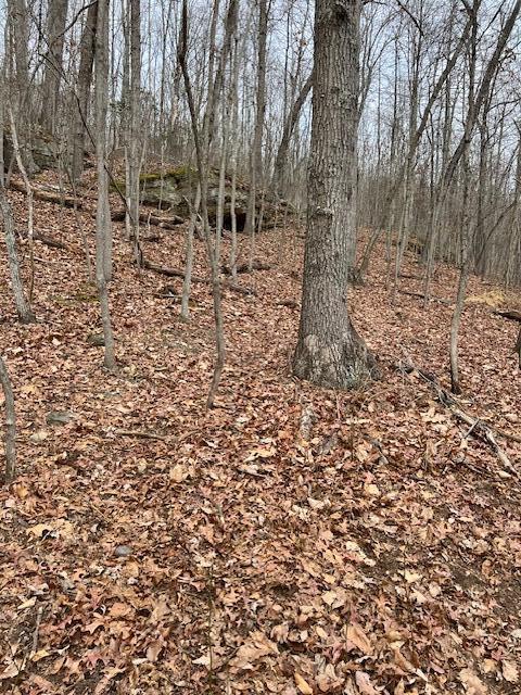 0 Beaver Pike Property Photo 19