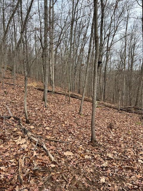 0 Beaver Pike Property Photo 20
